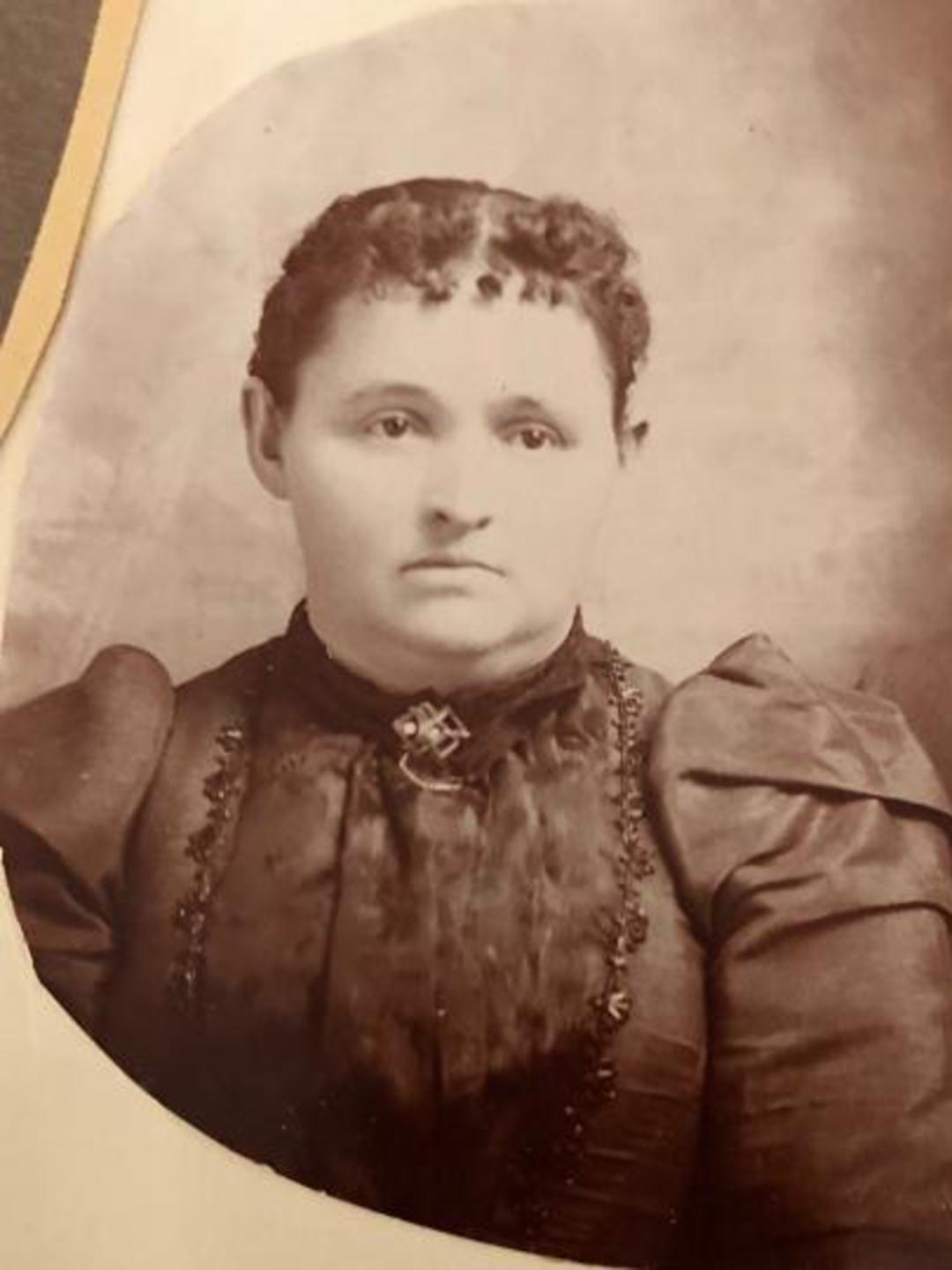 Sophy Mary Seipert (1856 - 1949) Profile